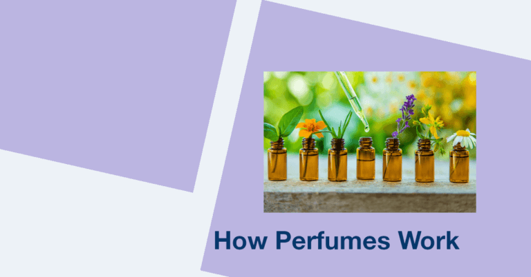 Understanding How Perfume Works and Oils Are Made