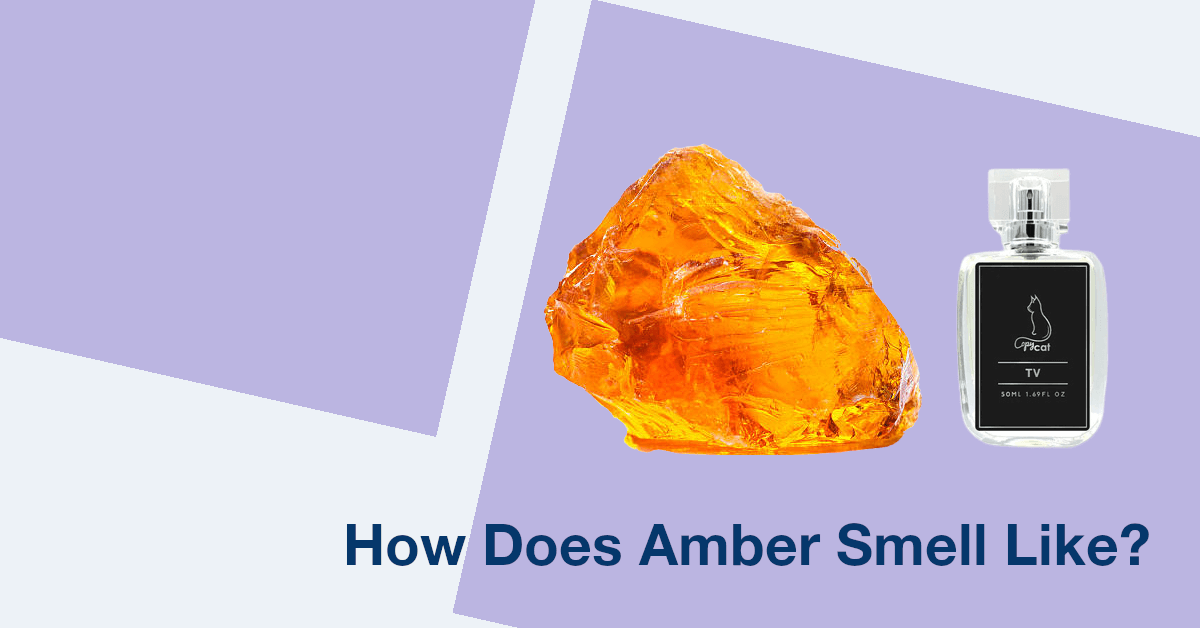 What does amber smell like